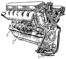 Click for larger view of Plate 8
